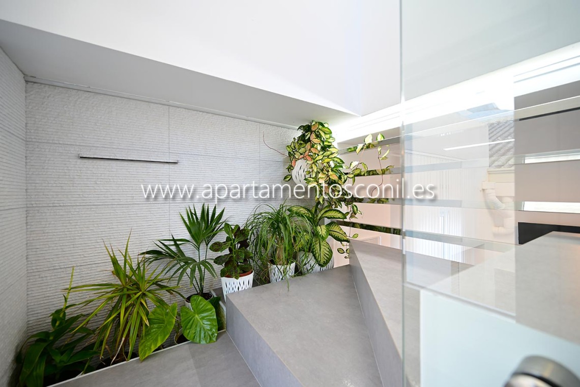 Plantas