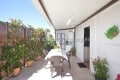 Plantas